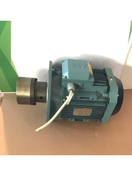 ABB Motors M2AA100LA-4