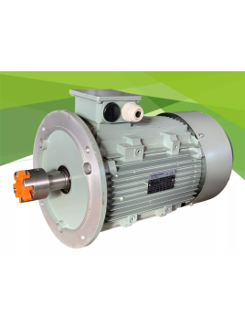 AC-MOTOREN FCPA 132MC-4/HE...