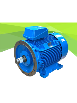SIEMENS 1LE1601 2DB09...