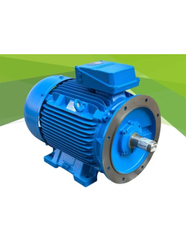 SIEMENS 1LE1623 2BB29...