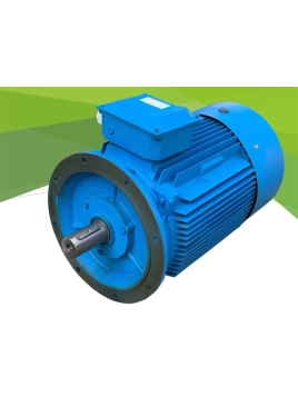 EFF2 12BA280M-4 110kW...