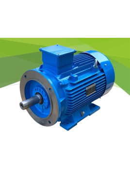 ALMIG JM4-180L-2 IE4 motore...