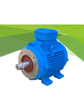 WEG 16FEV05 BQ59043 motore...