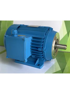 CEG MT112M2-EPST motore...
