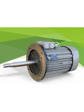 VEM IE2-WE1R100L4 motore...