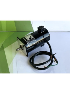 BODINE ELECTRIC 24D4BEPM...